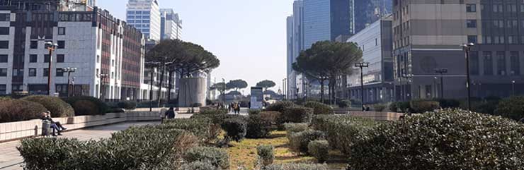 Manutenzione aree a verde Centro Direzionale di Napoli