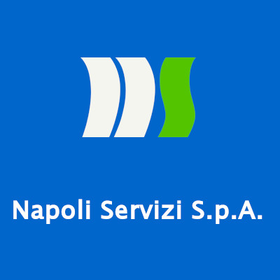 (c) Napoliservizi.com